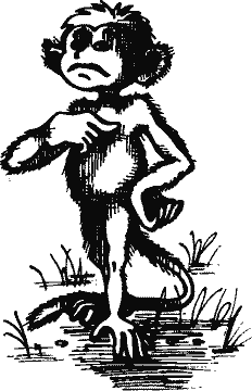 Кто похитил полдубленки? - pict_139.png