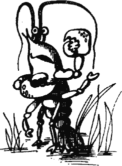 Кто похитил полдубленки? - pict_140.png