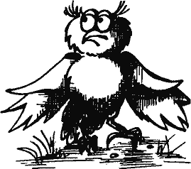 Кто похитил полдубленки? - pict_143.png