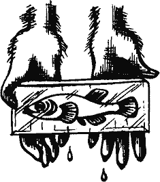 Кто похитил полдубленки? - pict_145.png