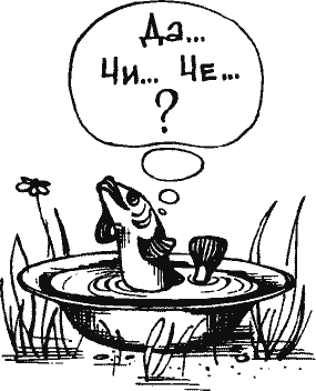 Кто похитил полдубленки? - pict_146.png