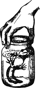 Кто похитил полдубленки? - pict_159.png