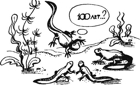 Кто похитил полдубленки? - pict_162.png