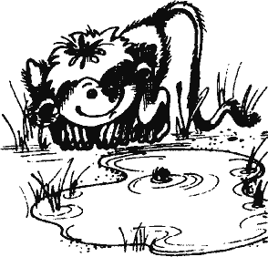 Кто похитил полдубленки? - pict_165.png