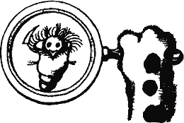 Кто похитил полдубленки? - pict_167.png