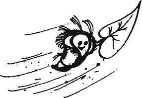 Кто похитил полдубленки? - pict_168.png