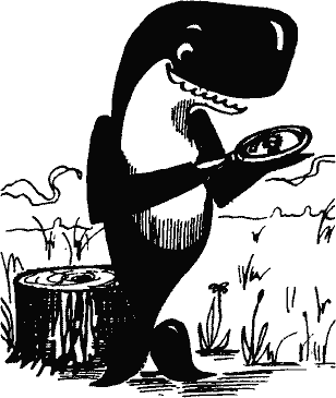 Кто похитил полдубленки? - pict_169.png