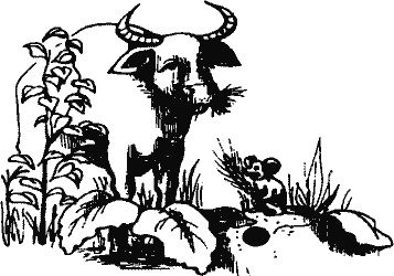 Кто похитил полдубленки? - pict_174.png