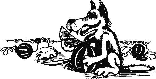 Кто похитил полдубленки? - pict_178.png