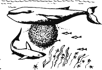 Кто похитил полдубленки? - pict_199.png