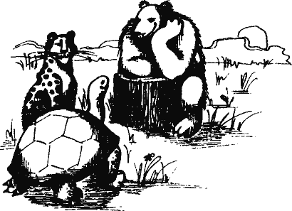 Кто похитил полдубленки? - pict_206.png