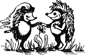 Кто похитил полдубленки? - pict_207.png