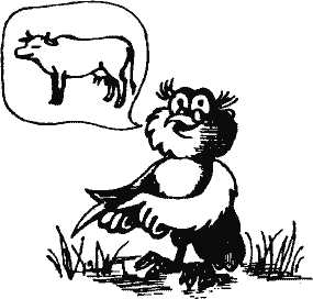 Кто похитил полдубленки? - pict_210.png