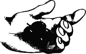 Кто похитил полдубленки? - pict_221.png