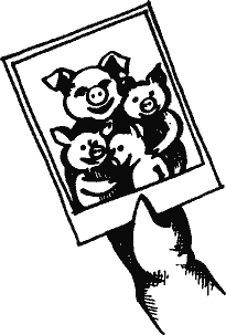 Кто похитил полдубленки? - pict_223.png