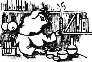 Кто похитил полдубленки? - pict_225.png