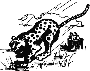 Кто похитил полдубленки? - pict_228.png