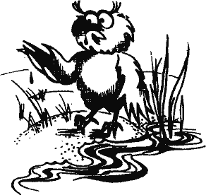 Кто похитил полдубленки? - pict_237.png