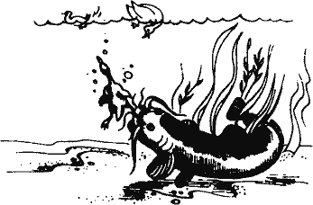 Кто похитил полдубленки? - pict_239.png