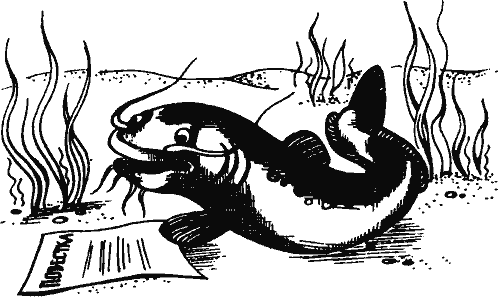 Кто похитил полдубленки? - pict_240.png