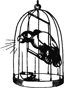 Кто похитил полдубленки? - pict_242.png