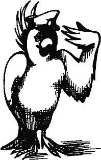 Кто похитил полдубленки? - pict_244.png