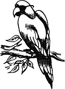 Кто похитил полдубленки? - pict_248.png