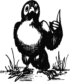 Кто похитил полдубленки? - pict_249.png