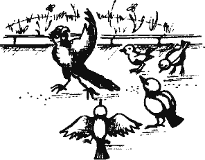 Кто похитил полдубленки? - pict_250.png