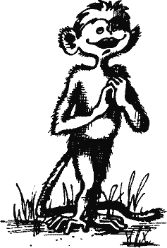 Кто похитил полдубленки? - pict_251.png