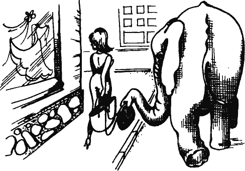 Кто похитил полдубленки? - pict_253.png