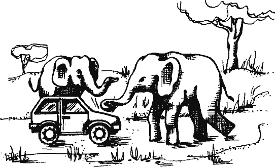 Кто похитил полдубленки? - pict_256.png