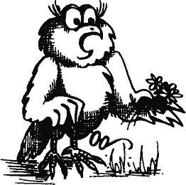 Кто похитил полдубленки? - pict_259.png