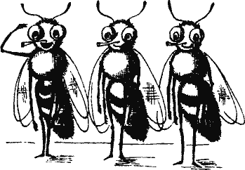 Кто похитил полдубленки? - pict_260.png