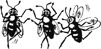 Кто похитил полдубленки? - pict_262.png