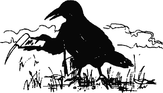 Кто похитил полдубленки? - pict_266.png