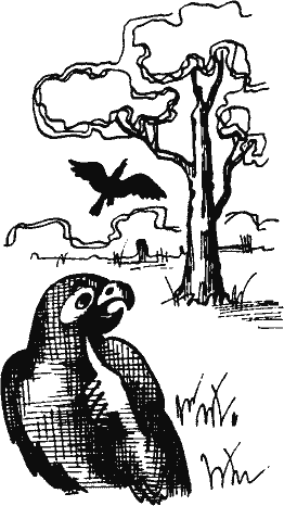 Кто похитил полдубленки? - pict_270.png