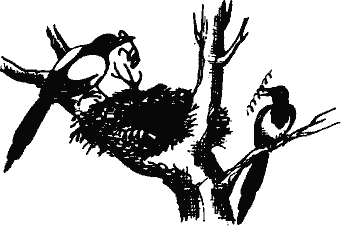 Кто похитил полдубленки? - pict_271.png