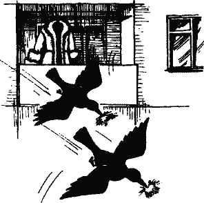 Кто похитил полдубленки? - pict_272.png