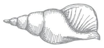 Компас и клинок. Книга 1 - i_015.png