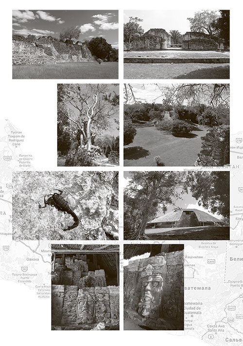 Рута Майя 2012, или Конец света отменяется - i_029.jpg