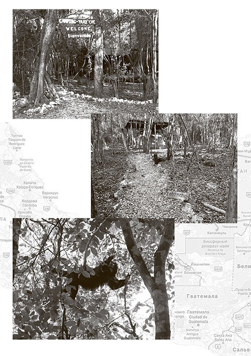 Рута Майя 2012, или Конец света отменяется - i_031.jpg