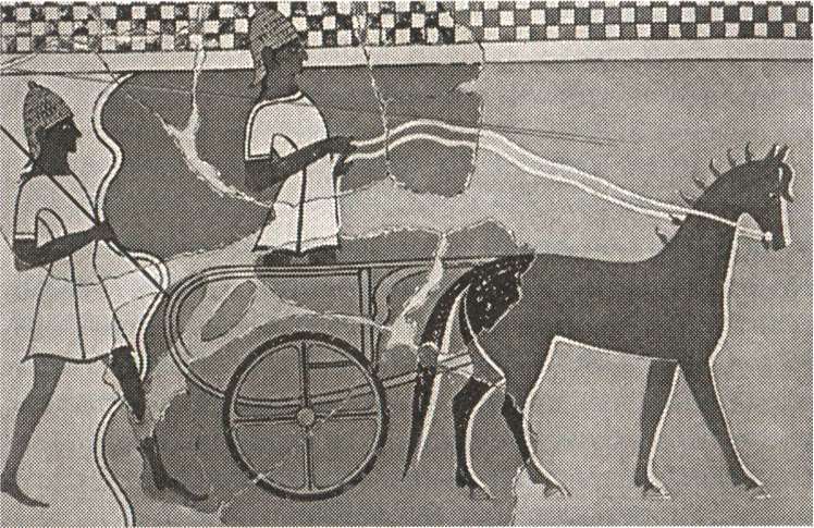 Расовые мифы нацизма. Врага надо знать! - i_008.jpg