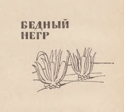 Бедный негр - i_004.jpg