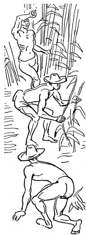 Бедный негр - i_008.jpg