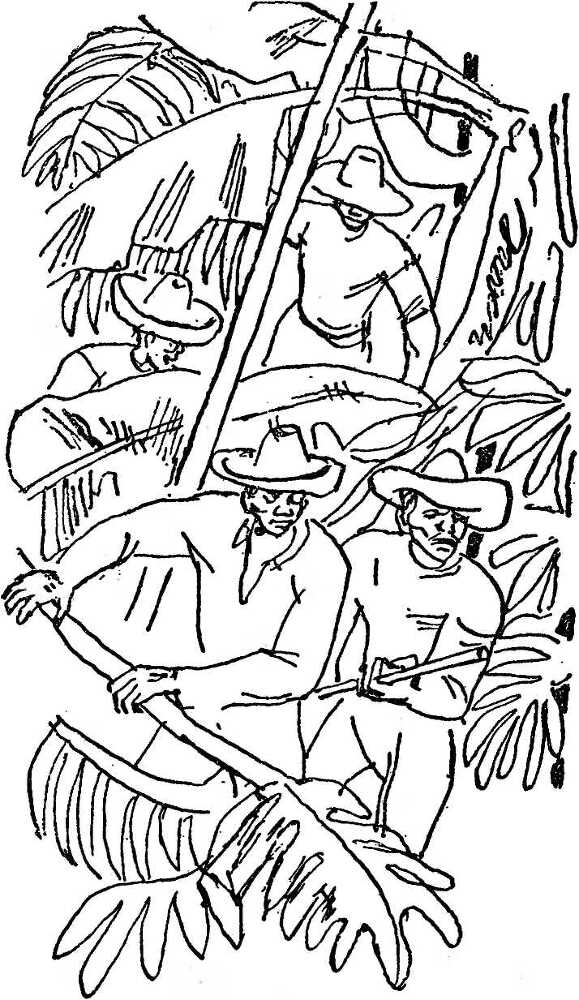 Бедный негр - i_010.jpg