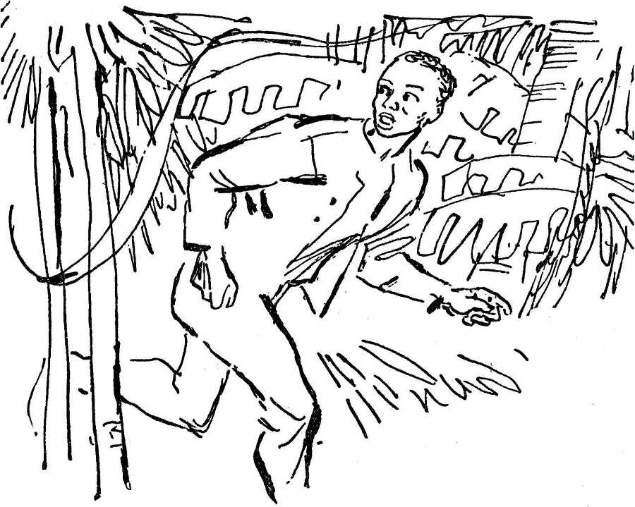 Бедный негр - i_011.jpg