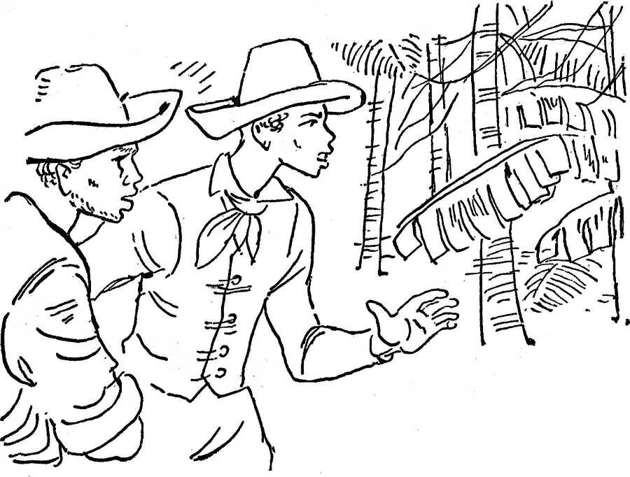 Бедный негр - i_018.jpg