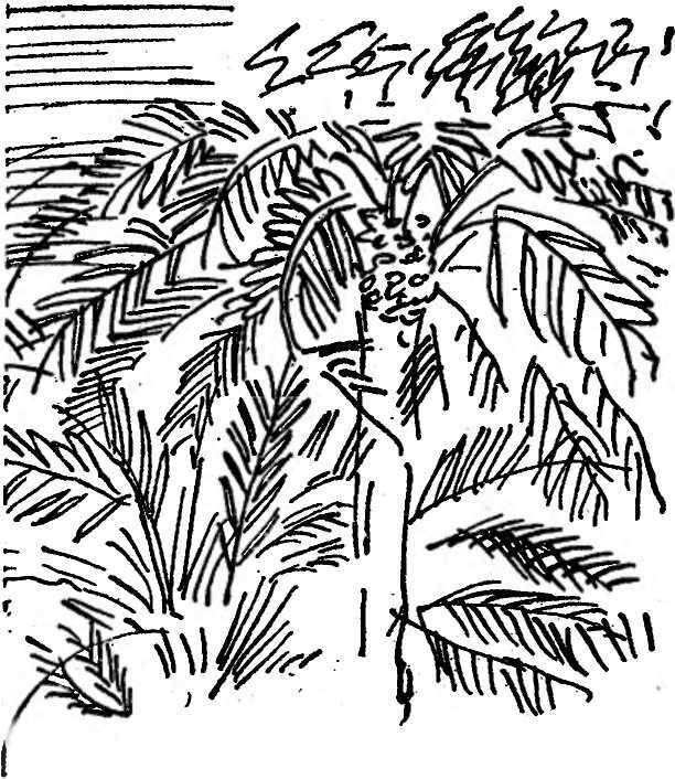 Бедный негр - i_030.jpg