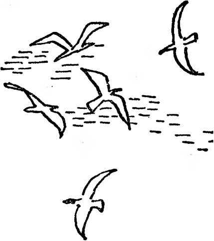 Бедный негр - i_046.jpg